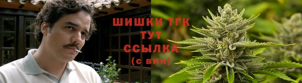 спиды Абаза